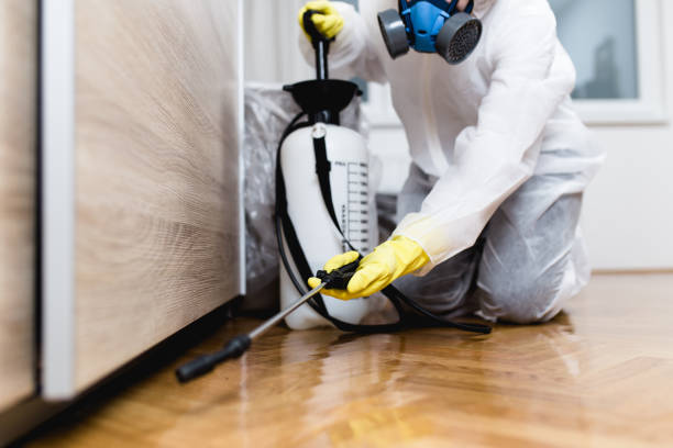 Best Affordable Pest Control Services  in Brawley, CA