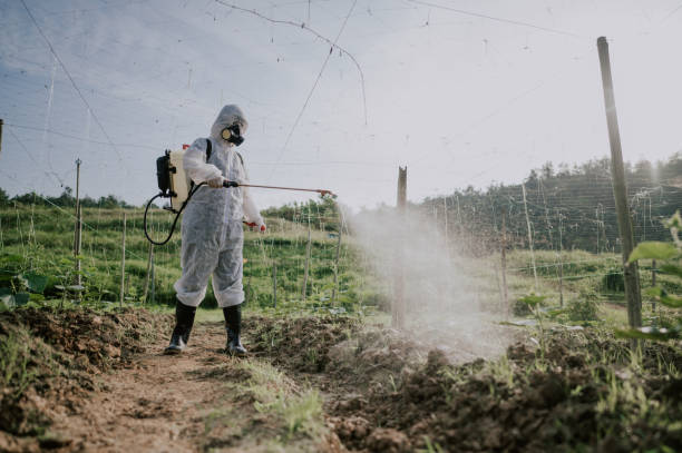 Best Mosquito Control Services  in Brawley, CA