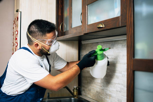 Best Pest Control for Businesses  in Brawley, CA