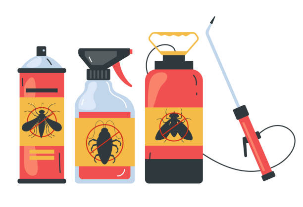 Best Ant Control Services  in Brawley, CA