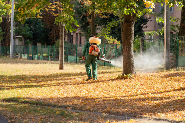 Best Cockroach Control Services  in Brawley, CA