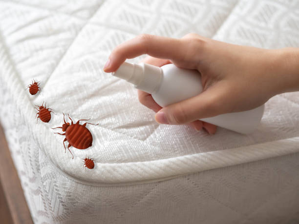 Best Exterminator Services  in Brawley, CA
