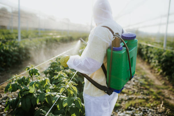 Best Pest Prevention Services  in Brawley, CA